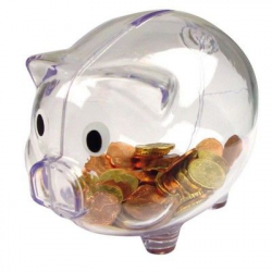 PLASTIC TRANSLUCENT PIGGY BANK MONEY BOX in Clear ...