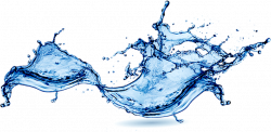 Clipart money water, Clipart money water Transparent FREE ...
