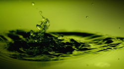 Drop / Water Drop / Water