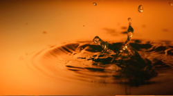 Coin / Water / Dunking