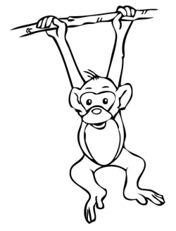 Top{21}+ Monkey Clipart Images with ... | Monkeys | Monkey coloring ...