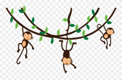 Collection Of Monkey Hanging From Tree - Transparent Background ...