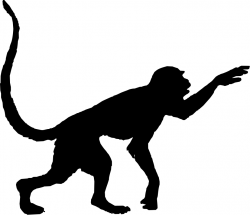 Free Monkey Silhouette, Download Free Clip Art, Free Clip Art on ...