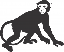 Free Monkey Silhouette, Download Free Clip Art, Free Clip Art on ...