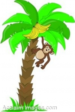 Monkey In A Tree Clipart | Clipart Panda - Free Clipart Images