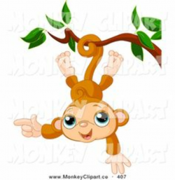 10 Best Monkeys Clip Art images in 2015 | Monkeys, Clip art, Monkey
