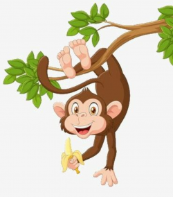 Monkey Hanging In A Tree PNG, Clipart, Banana, Barefoot, Green ...