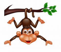 Upside Down Hanging Monkey Clipart Download - Cartoon Monkey In A ...