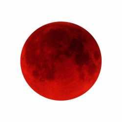 PSD Dettaglio | Red Moon | PSD ufficiale found on Polyvore ...