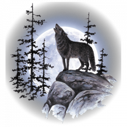 WOLF MOON