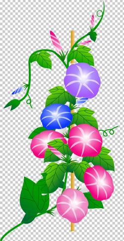 Japanese Morning Glory Blog Summer PNG, Clipart, Artwork ...