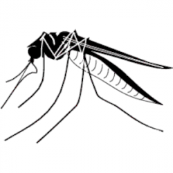 Free Mosquito Cliparts, Download Free Clip Art, Free Clip ...