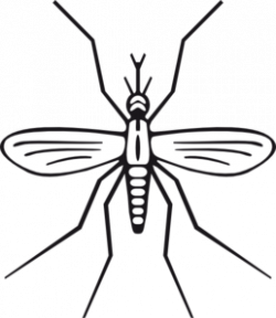 Mosquito Clip Art Images | Clipart Panda - Free Clipart Images