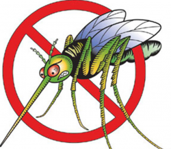 Cartoon Mosquito Clipart | Free download best Cartoon ...