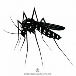 Mosquito clip art black and white | Clip art, Free vector ...