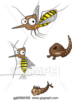 Stock Illustration - The life cycle of the mosquito. Clipart ...