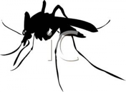 Best Mosquito Clipart #2823 - Clipartion.com