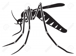 Mosquito clipart realistic, Mosquito realistic Transparent ...