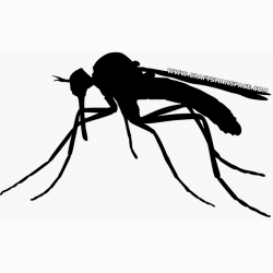 Mosquito clipart silhouette, Mosquito silhouette Transparent ...