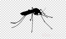 Mosquito Cartoon clipart - Graphics, Illustration ...