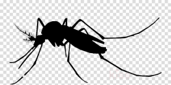 Mosquito Cartoon clipart - Vector, Silhouette, transparent ...