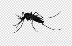 Spider Cartoon clipart - Silhouette, transparent clip art