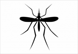 INSECTS SILHOUETTE Silhouette Graphics | Insects, Silhouette ...