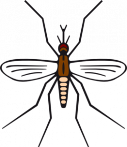 Mosquito In Brown Color Clip Art at Clker.com - vector clip ...