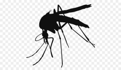 Mosquito Cartoon clipart - Black, Wing, Line, transparent ...