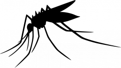 Mosquito Computer Icons Clip art - mosquito png download ...