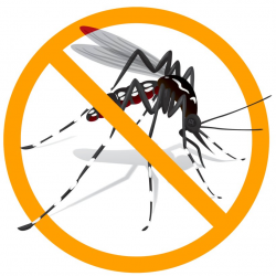 Yellow Fever Mosquito Aedes Albopictus Zika Virus Clip Art ...