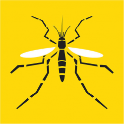 Yellow Fever Clipart