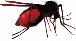 Mosquito clipart zika, Mosquito zika Transparent FREE for ...