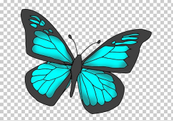 Monarch Butterfly Mother\'s Day PNG, Clipart, Arthropod, Baby Shower ...