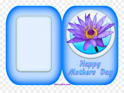 Happy Mothers Day Water Lily Flower - English Spanish Bible No6 ...