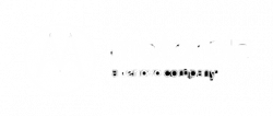motorola one zoom: perfect from every perspective - The ...