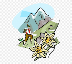 Vector Illustration Of Mountain Guide Hiking In The Clipart ...