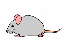 Free Mouse Animal Cliparts, Download Free Clip Art, Free Clip Art on ...