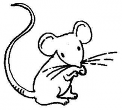 Mouse Clip Art Black And White Free | Clipart Panda - Free Clipart ...