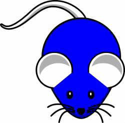 Blue White Mouse Clip Art at Clker.com - vector clip art online ...