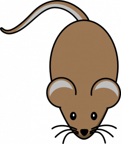 Brown Mouse Clip Art at Clker.com - vector clip art online, royalty ...