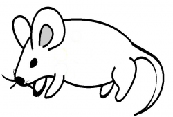 Mouse Drawing | Free download best Mouse Drawing on ClipArtMag.com