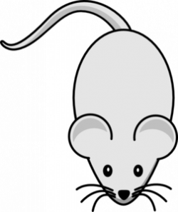 Light Grey Mouse Clip Art at Clker.com - vector clip art online ...