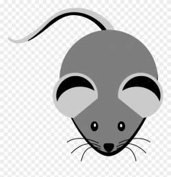 Rat Clipart Gray Mouse - Grey Clipart - Png Download (#384272 ...