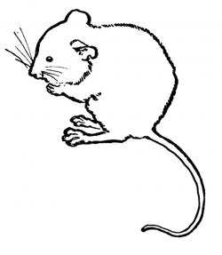 Mouse Clip Art Black And White Free | Clipart Panda - Free Clipart ...