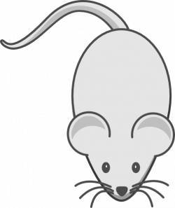 Light Grey Mouse Grey Outline Clip Art at Clker.com - vector clip ...