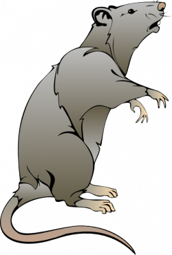 Rat Clip Art at Clker.com - vector clip art online, royalty free ...