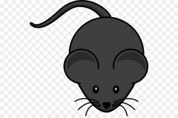 Rat, Mouse, Nose, transparent png image & clipart free download