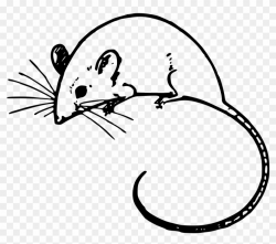 Freeuse Download Clipart Rat - Mouse Clip Art Transparent, HD Png ...