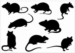 Clipart Rat - ClipArt Best | John\'s rat rod rat garage ideas ...